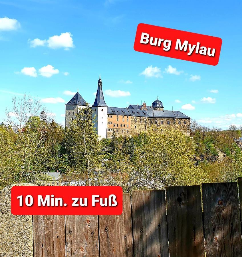 Ferienwohnung "Blick Mylau" - Naehe Freizeitpark Plohn & Weltgroesster Ziegelsteinbruecke رايشنباخ إم فوغتلاند المظهر الخارجي الصورة