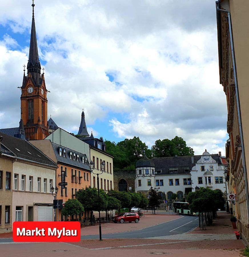Ferienwohnung "Blick Mylau" - Naehe Freizeitpark Plohn & Weltgroesster Ziegelsteinbruecke رايشنباخ إم فوغتلاند المظهر الخارجي الصورة