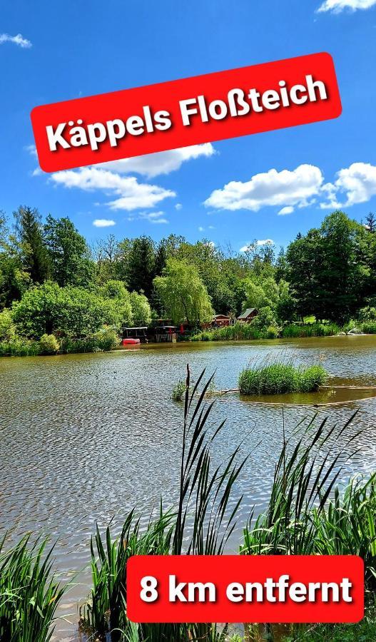 Ferienwohnung "Blick Mylau" - Naehe Freizeitpark Plohn & Weltgroesster Ziegelsteinbruecke رايشنباخ إم فوغتلاند المظهر الخارجي الصورة