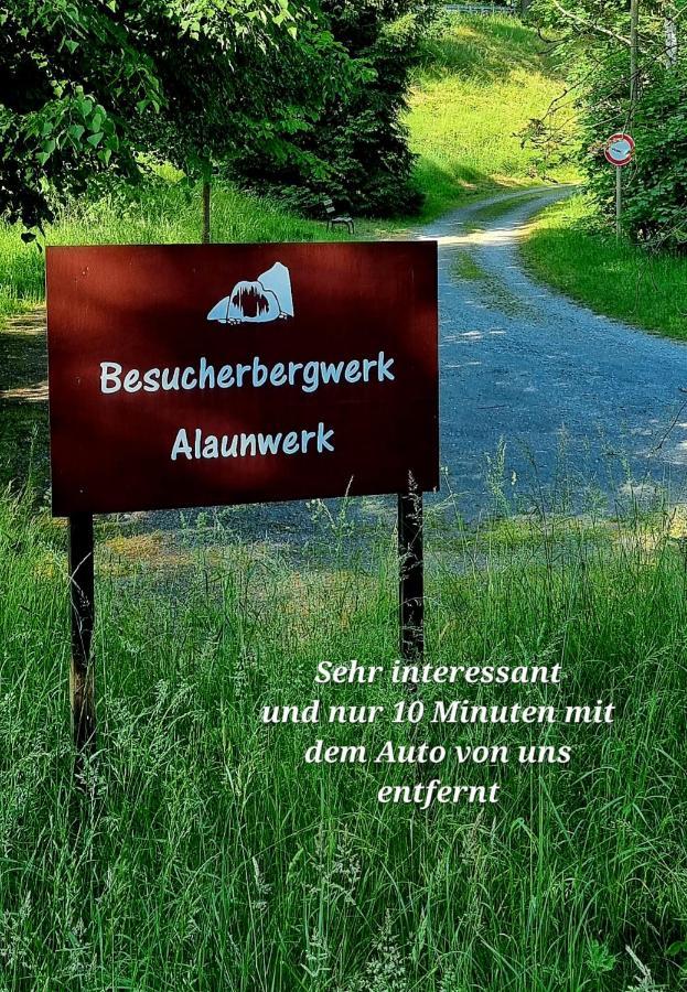 Ferienwohnung "Blick Mylau" - Naehe Freizeitpark Plohn & Weltgroesster Ziegelsteinbruecke رايشنباخ إم فوغتلاند المظهر الخارجي الصورة