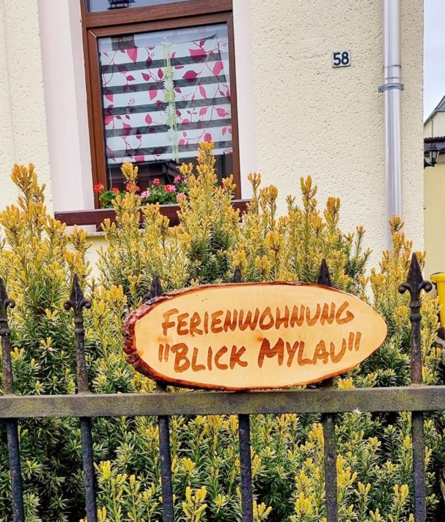 Ferienwohnung "Blick Mylau" - Naehe Freizeitpark Plohn & Weltgroesster Ziegelsteinbruecke رايشنباخ إم فوغتلاند المظهر الخارجي الصورة