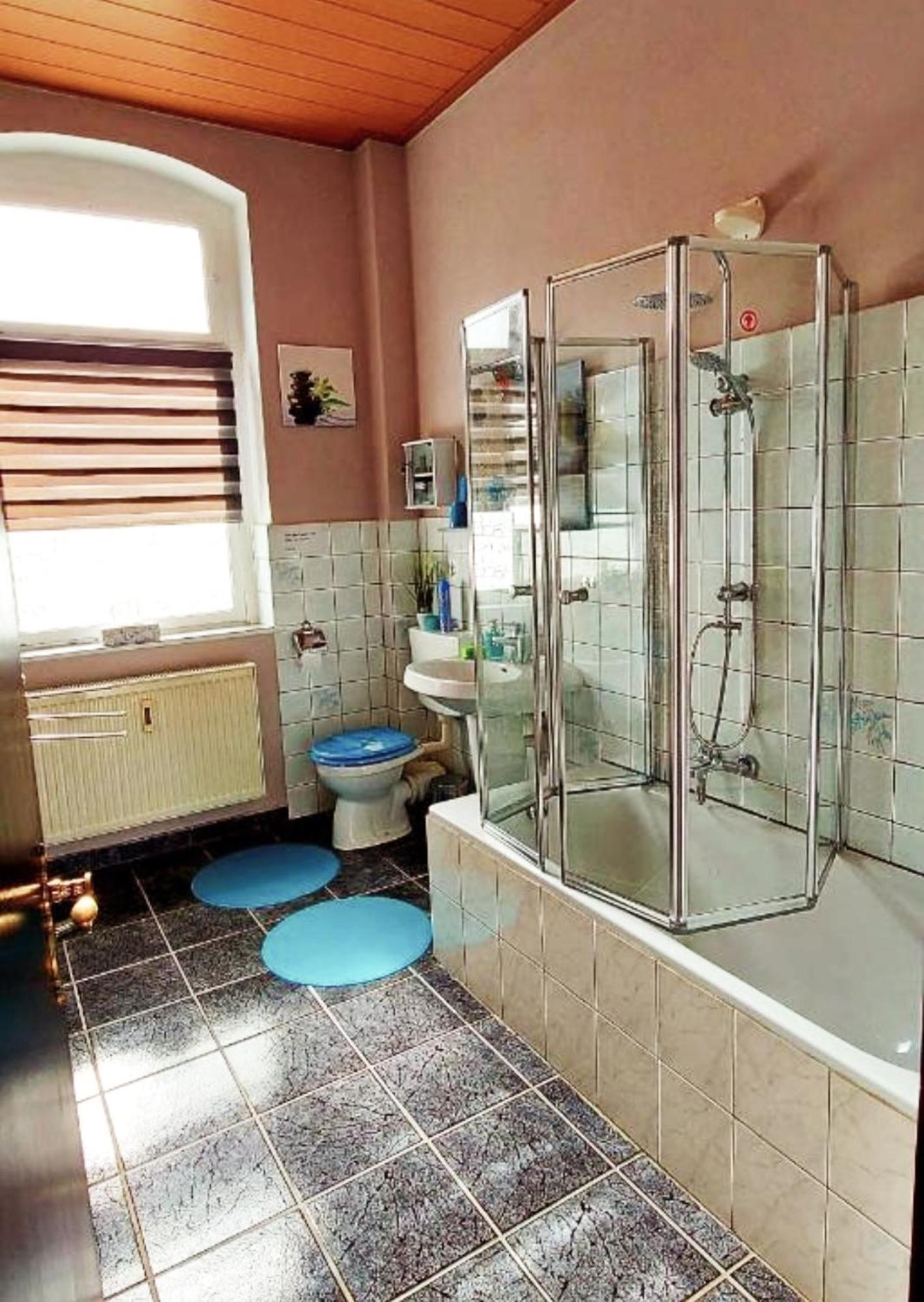 Ferienwohnung "Blick Mylau" - Naehe Freizeitpark Plohn & Weltgroesster Ziegelsteinbruecke رايشنباخ إم فوغتلاند المظهر الخارجي الصورة