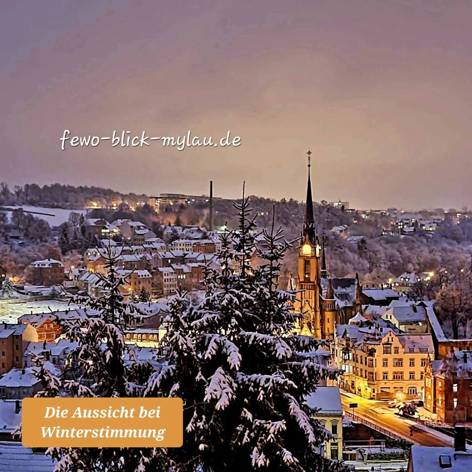 Ferienwohnung "Blick Mylau" - Naehe Freizeitpark Plohn & Weltgroesster Ziegelsteinbruecke رايشنباخ إم فوغتلاند المظهر الخارجي الصورة