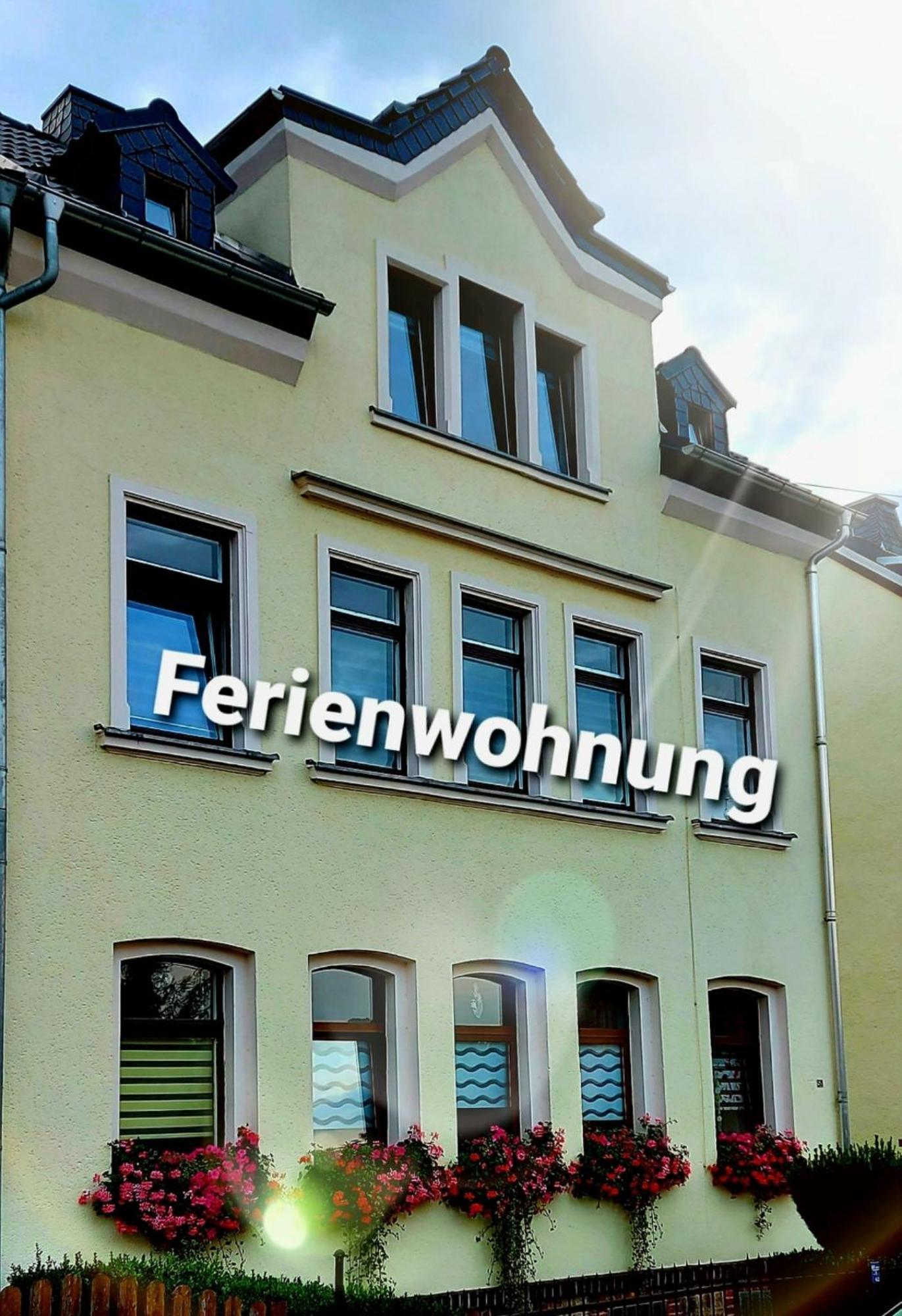 Ferienwohnung "Blick Mylau" - Naehe Freizeitpark Plohn & Weltgroesster Ziegelsteinbruecke رايشنباخ إم فوغتلاند المظهر الخارجي الصورة